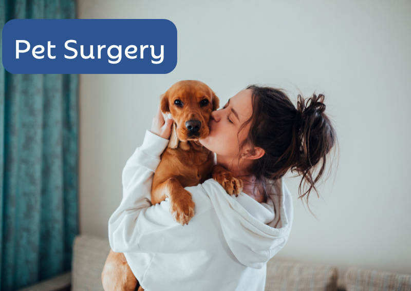 Carousel Slide 5: Offering compassionate and safe veterinary surgical options